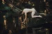 hanging_on_reduced